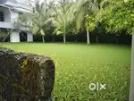 5CENT POSH RESIDENTIAL PLOT FOR SALE IN EDAPPALLY PONEKKARA