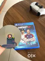 Cricket 22