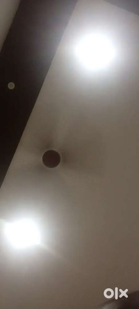 Fan for sale new less uses each 1500