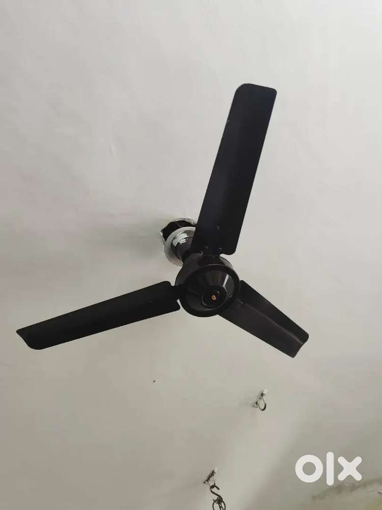 Ceiling fan