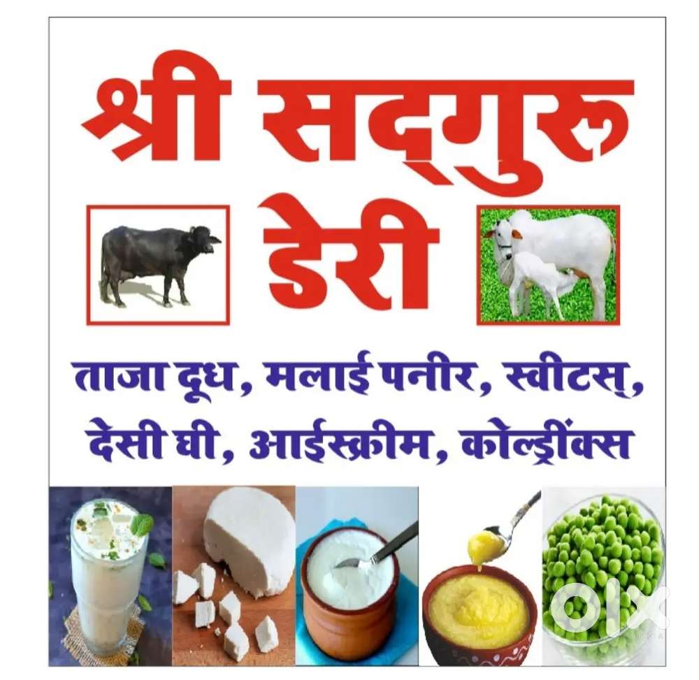लड़का चाहिए। दूध की दुकान में।