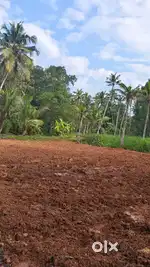 15 cent vasthu