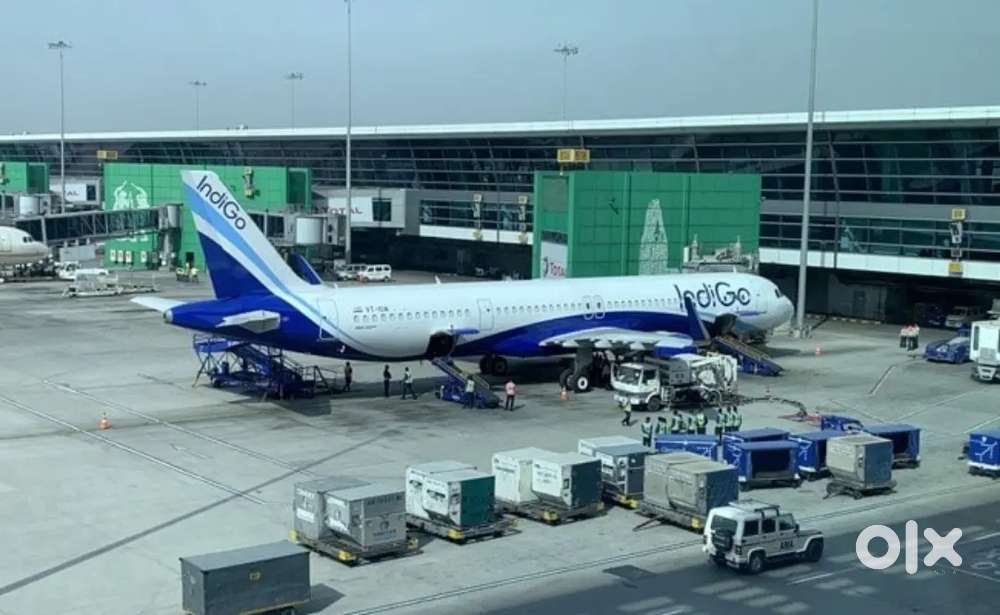 Cabin Crew/ Airport Ground Staff Jobs in Indigo Airport