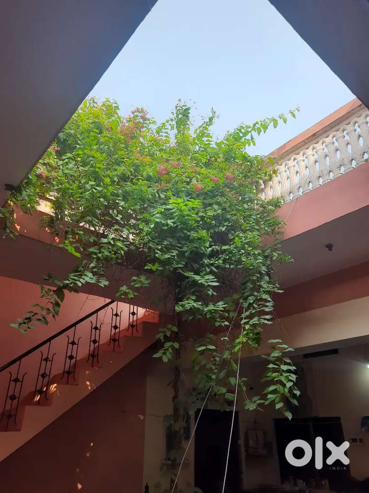 Women Maid for House