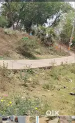 Premium Residential Plot for Sale Near Old Police Line, Arrah – Only ₹