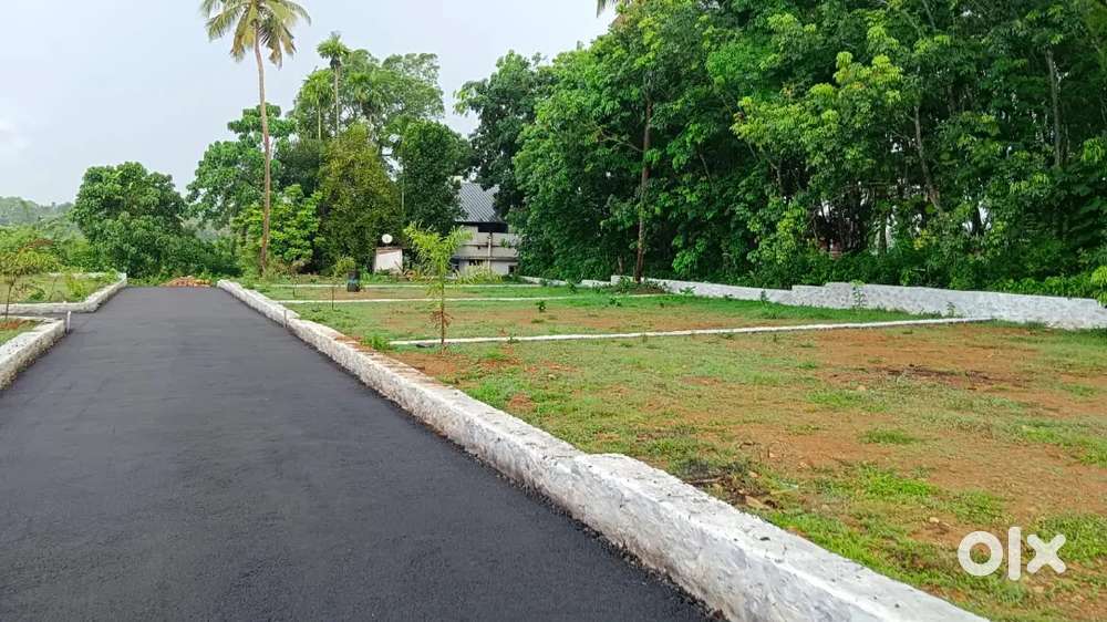 ANGAMALY NEAR APPOLLO HOSPITAL 4,5,6,8,10 AFFORDABLE PLOTS  AVAILABLE