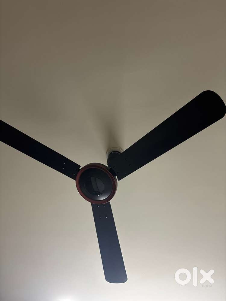 Atomberg erica arkestra ceiling fan