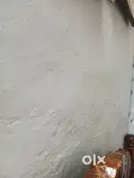 Rent for house