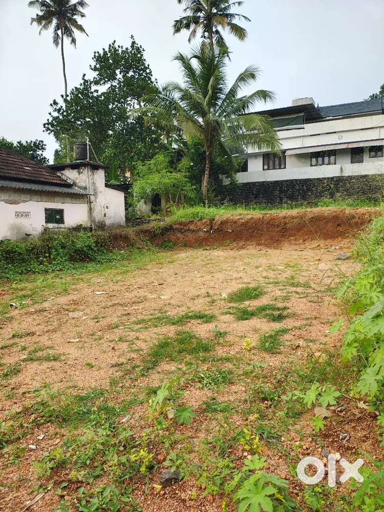 House plot centre of pampady 8 cent , 5 cent  near busstand 200 mtr