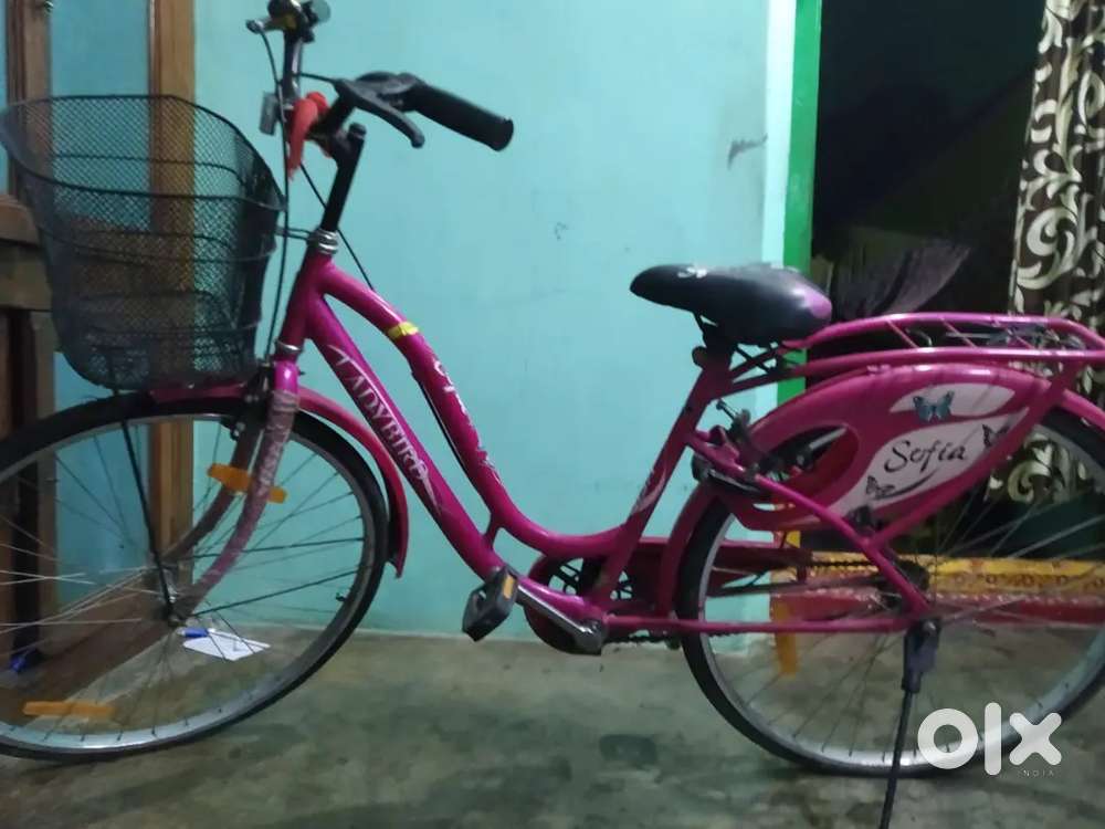 Lady Bird new cycle not a single use, covers are still there