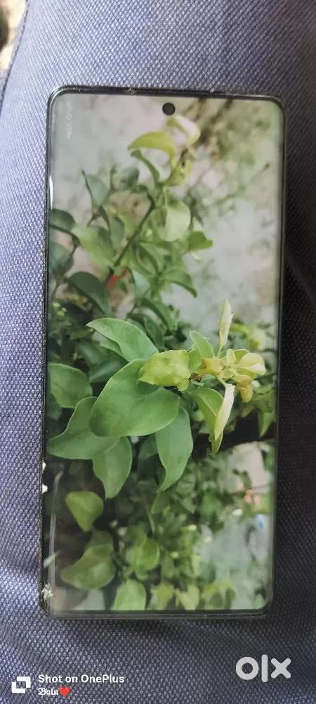 Vivo V29e 5g