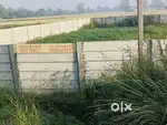 2178 sq.Yrd Farmland 33Feet wide Balck road Gurgaon