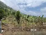 Beatiful land for sale in poovaaranthodu