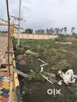 New plot for sell