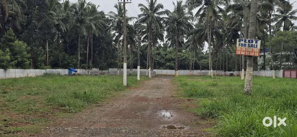 Mundur House 5, 6, 10 Cents Plots
