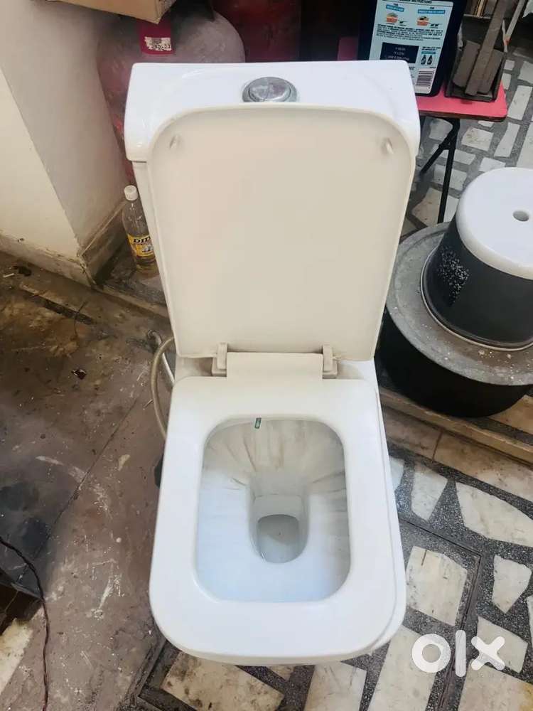 Toilet seat