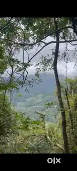 3.65 acres, residential plot available for sale in mankadavu adimali