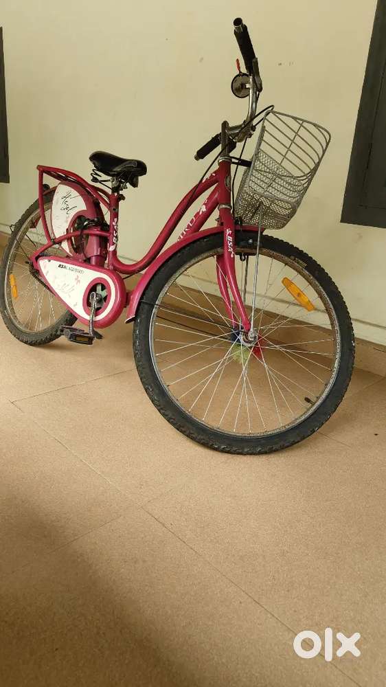 BSA Lady Bird Hazel