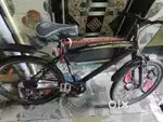 Bast condition