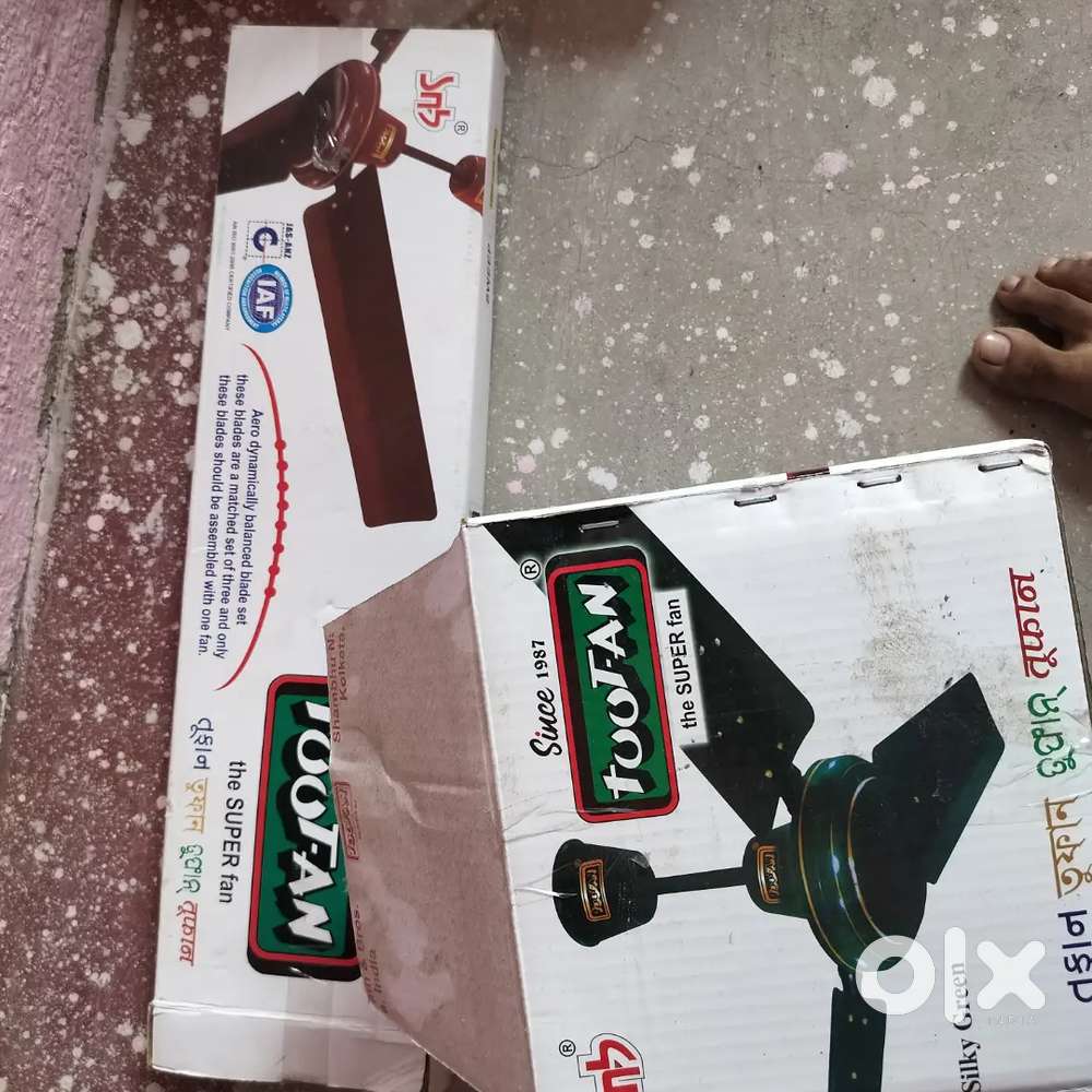 Toffan fan 2 month old