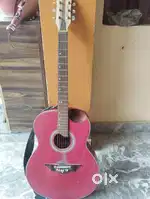 Gibson Guitar