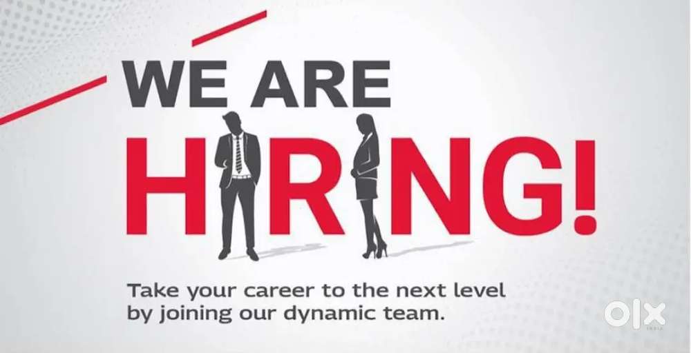 Vehicle Loan Executive