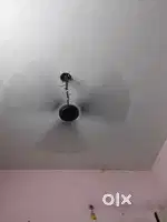 I need a room partner in all over indore