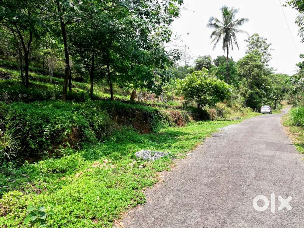 4.3 Acres of Land for Sale