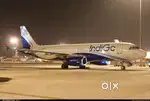 Airport Ground staff job in indigo Airlines 8-HR shift fixed salary