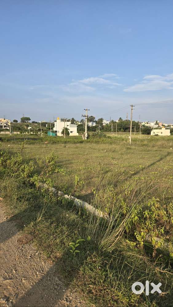 1000 Sq Ft West-Facing Plot for Sale – Vijaya Vittala Nagar