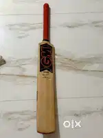 SG CRICKET KIT AND GM KASHMIRI WILLOW LEATHER BAT