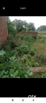Plot for sale