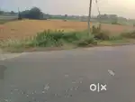 57 guntas of farm land