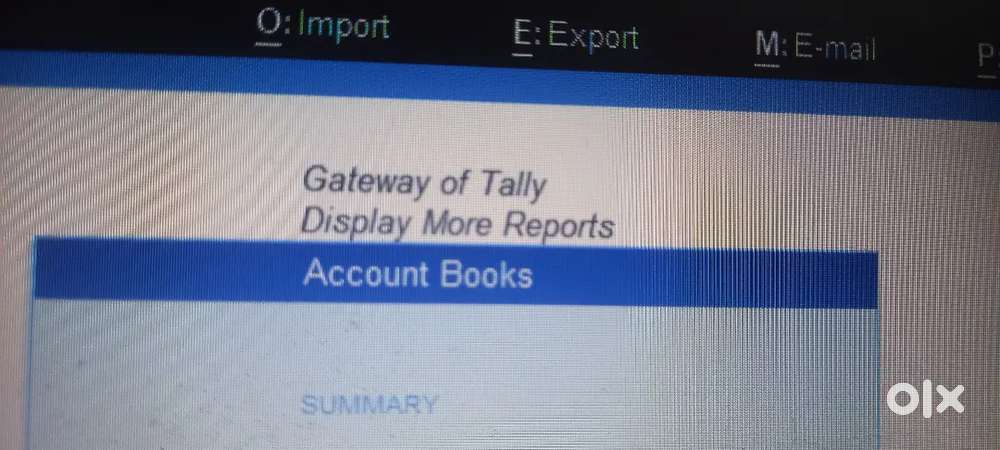 Accountant (jewelleries shop)