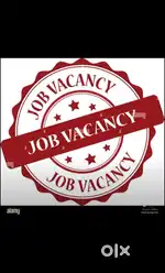 Accountant with minimum 1 year experience in tally
