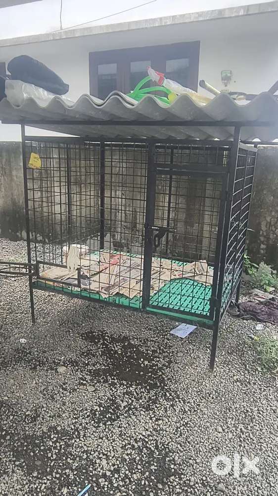 Pets cage for selling