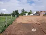 Open Plots for sale near Shadnagar Rajapur