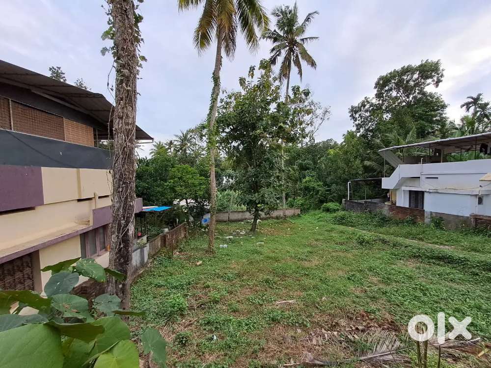 Residential property Kallampally Sreekaryam Thiruvananthapuram