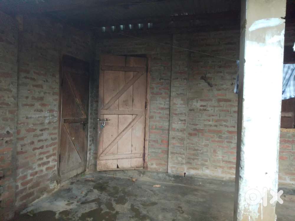 Only for konyak and yimchunger