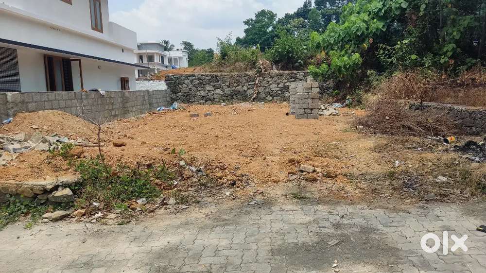 4cent house plot near infopark pukkattupay bu