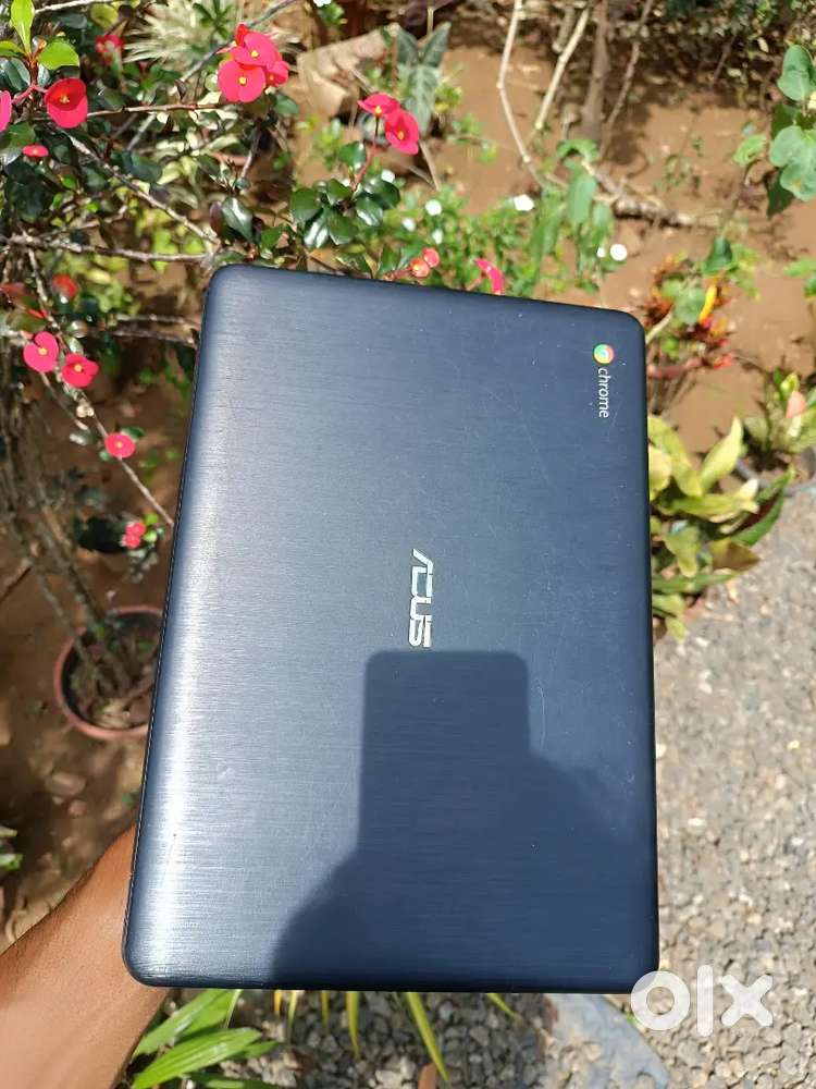 Asus chromebook( Android )