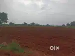 Agriculture land
