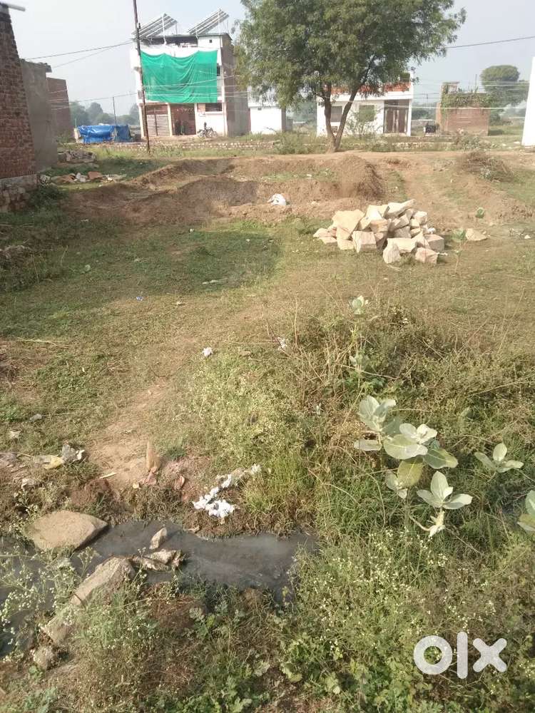 तिघरा रौड झंडारी पुरा हरिबिहार कालोनी ग्वालियर