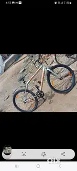 Urban terian cycle