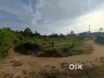 300 feet length*250 feet width(almost 100 cent)