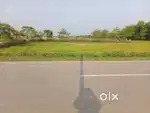 FOR SALE MYADI LAND 03 BIGHA 02 KATHA AND 10 LESSA