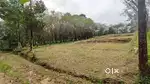 50 cent plot for sale