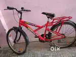 Ranzer cycle