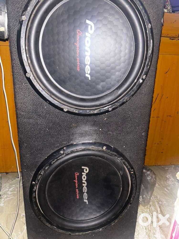 Pioneer double coil woofer