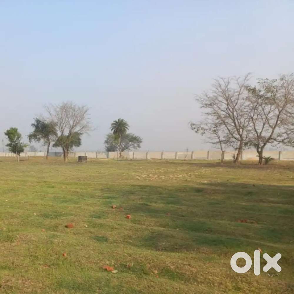 Sell my 1 bigha patta land with boundary wall